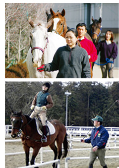 乗馬クラブ クレイン