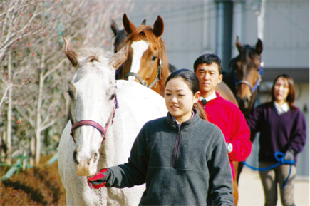 乗馬クラブ クレイン
