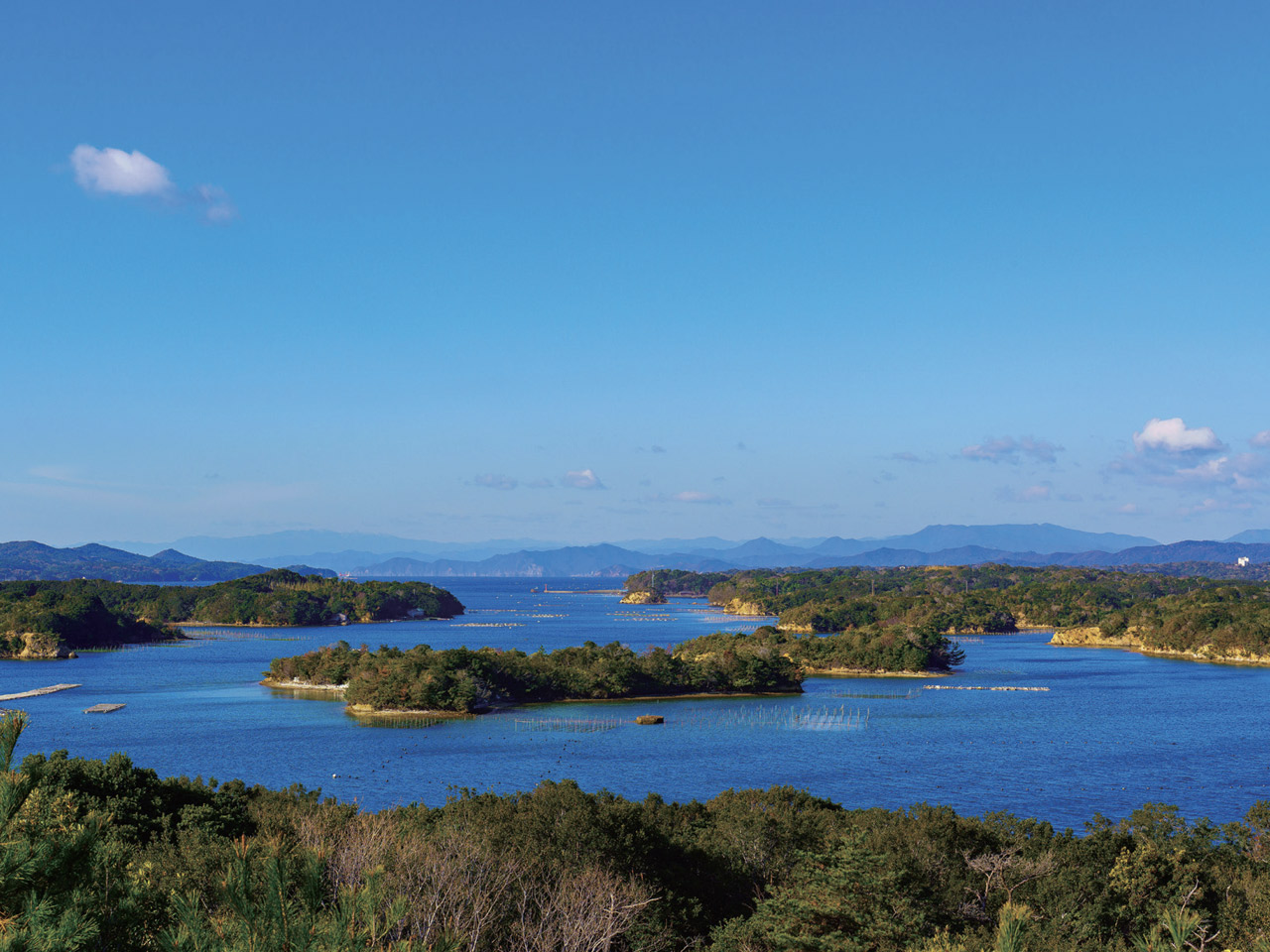 志摩夏草本校スクーリング