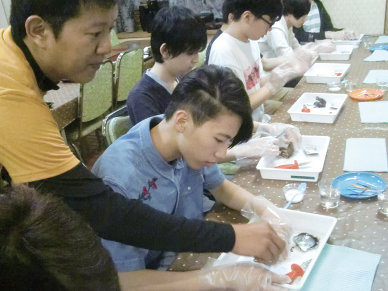 スクーリングプログラム