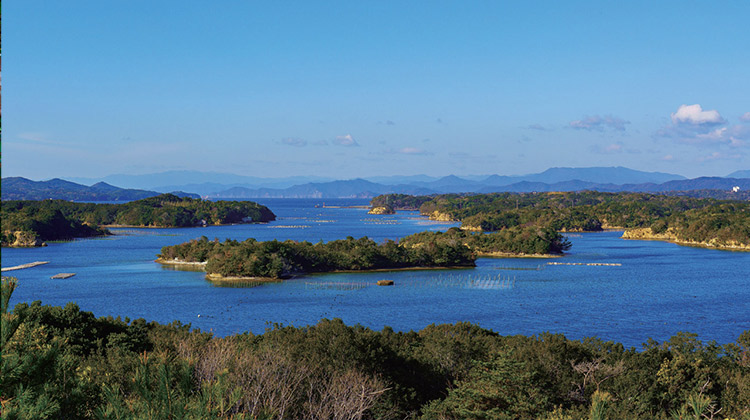志摩夏草本校スクーリング | 学校法人代々木学園 代々木高等学校[公式]